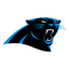 Panthers logo